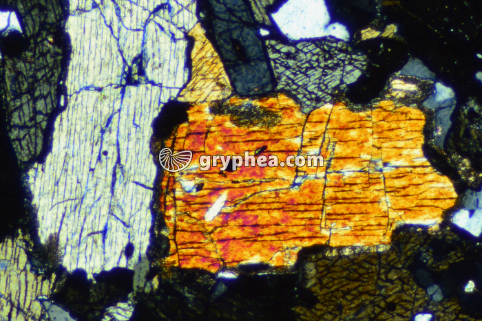 Jadéite LPA x10 - gryphea.org